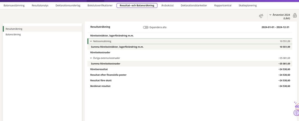 resultat och balansräkning.jpg