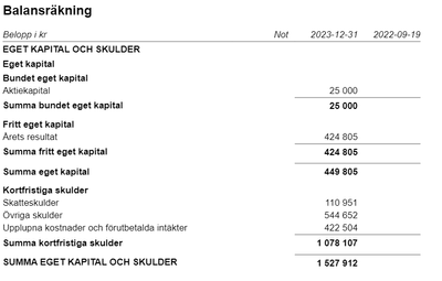 visma_bokfring_5-1705057748096.png