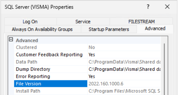 SQL Server filversion.png
